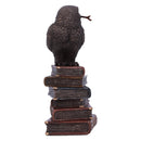 Bronze Spellcraft Witches Familiar Owl on Book Figurine 14cm 4