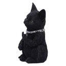 Cattitude Black Cat Figurine 16.5cm 2