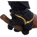 Tabitha Small Witches Familiar Black Cat and Broomstick Figurine 11cm 6