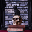 Familiar Fate Black Witches Cat and Skull Figurine 24.3cm 8
