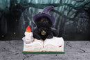 Familiars Spell Black Cat Oranment Familiars 8.5cm 6