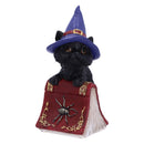 Hocus Small Witches Familiar Black Cat and Spellbook Figurine 12.7cm 1