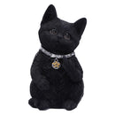 Cattitude Black Cat Figurine 16.5cm 1