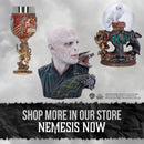 Harry Potter Hogwarts School of Witchcraft and Wizardry Collectible Goblet 19.5cm 7