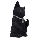 Cattitude Black Cat Figurine 16.5cm 4