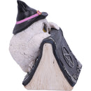 Owl with book Figurine 15cm Owls Spell 7