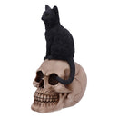 Familiar Fate Black Witches Cat and Skull Figurine 24.3cm 4