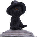Witch Cat Cauldron Box 14cm Kittys Brew 6