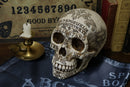 Voodoo Spirits Commune Skull 20cm 7
