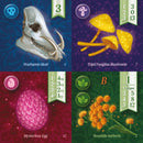 Nocturne Board Game Set Collection and Bidding Play as Fox Mystics Find Magical Items