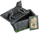 Fortunes Watcher Cat Familiar Tarot Box Fortunes 17cm 3