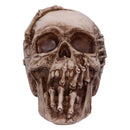 Breaking Out Skull Skeleton Ornament 20cm 3