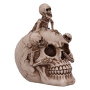 Breaking Free Skeleton Emerging from Skull Ornament 17.7cm 4