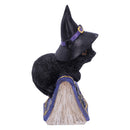 Pocus Small Witches Familiar Black Cat and Spellbook Figurine 12.7cm 4