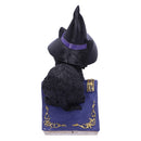 Pocus Small Witches Familiar Black Cat and Spellbook Figurine 12.7cm 3