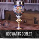 Harry Potter Hogwarts School of Witchcraft and Wizardry Collectible Goblet 19.5cm 3