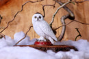 Wizards Familiar White Owl Figurine 10cm Hedgewig 6