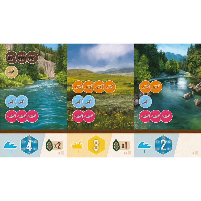 AEG & FlatOut Games | Cascadia:Rolling Rivers Roll & Write Puzzly Dice Game | Explore The Pacific Northwest, Build Ecosystems | Ages 10+ | 1-4 Players