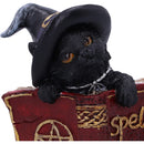 Kittys Grimoire Figurine in Red 8.2cm 5