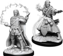 Male Human Druid D and D Nolzurs Marvelous Unpainted Miniatures Miniature Game by Wiz Kids 2