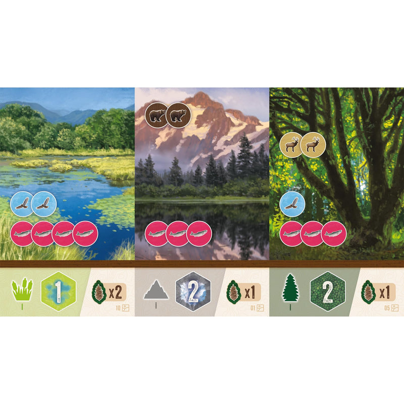 AEG & FlatOut Games | Cascadia: Rolling Hills Roll & Write Puzzly Dice Game | Explore The Pacific Northwest, Build Ecosystems | Ages 10+ | 1-4 Players