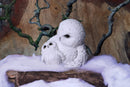 Feathered Guide Owl Figurine 13.5cm 6