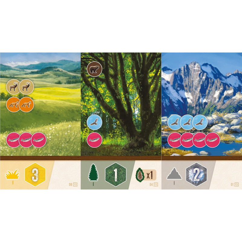 AEG & FlatOut Games | Cascadia:Rolling Rivers Roll & Write Puzzly Dice Game | Explore The Pacific Northwest, Build Ecosystems | Ages 10+ | 1-4 Players