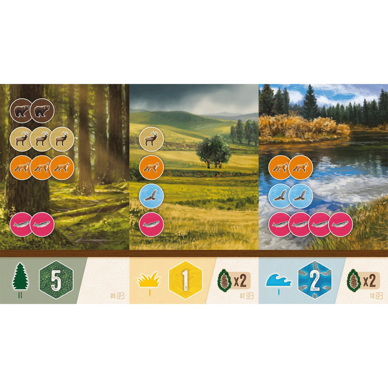 AEG & FlatOut Games | Cascadia: Rolling Hills Roll & Write Puzzly Dice Game | Explore The Pacific Northwest, Build Ecosystems | Ages 10+ | 1-4 Players