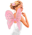 Pink Fantasy  Wings 50X48 Cm