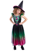 Wicked Witch Light Up Costume 2