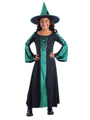 Bewitched Costume Green Dress for Girls Bewitched Outfit 1