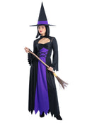 Bewitched Costume Purple Dress and Hat for Women 2