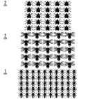 Set Of 50 Ants, 25 Spiders And 25Flies