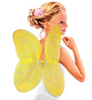 Yellow  Wings 58X46 Cm
