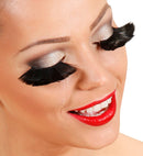 Black Feather Eyelashes In Box With Glass Bottle Glue