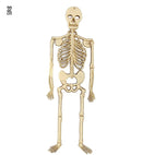 Skeletons 32 Cm