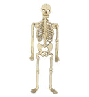 Skeletons 32 Cm