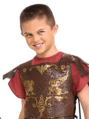 Roman Gladiator Costume Boys Ancient Times