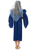 Renaissance Faire Juliet Costume