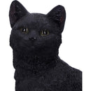 Familiar Fate Black Witches Cat and Skull Figurine 24.3cm 7