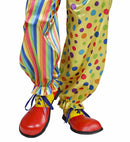Clown Shoes Adult Size