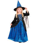 Witch  Dress With Veil, Hat 