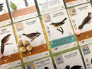 Retailer Display Box for Wingspan Fan Designed Packs Board Game by Stonemaier 9