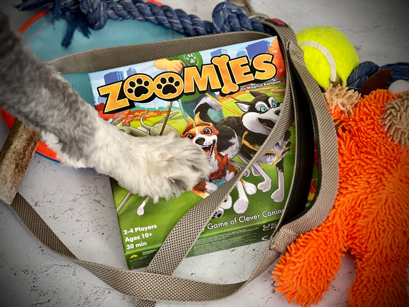 Fireside Games Zoomies – Fast-Paced Dog Walking Family Card Board Game Fun for All Ages Quick Play 2 to 4 Players Ages 10+