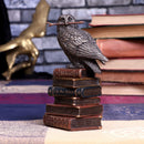Bronze Spellcraft Witches Familiar Owl on Book Figurine 14cm 7