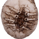 Breaking Out Skull Skeleton Ornament 20cm 6