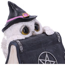 Owl with book Figurine 15cm Owls Spell 6