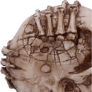 Breaking Out Skull Skeleton Ornament 20cm 7