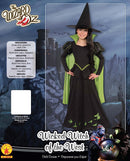 Wicked Witch of The West Costume Wizard Of Oz Girls