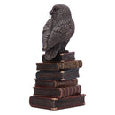 Bronze Spellcraft Witches Familiar Owl on Book Figurine 14cm 2